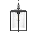 Millennium Lighting 42625IR 8"W Outdoor Pendant - Black. Fixed Price $169.90.