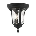 Livex Oxford 2 Light Outdoor Ceiling Mount, Textured Black 7861-14. Fixed Price $179.96.
