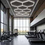8X Hexagon Led Light For Home Workshop Garage Gym Honeycomb Ceiling Wall Lamp. Fixed Price $76.89.