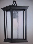 Progress Lighting Endicott Collection 1-LIGHT Textured Black Clear Seeded Glass. Fixed Price $113.95.