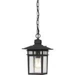 Nuvo Cove Neck 12" Light Textured Black Outdoor Pendant 60-4956 Ships Free. Fixed Price $44.95.