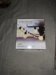 Savannah Home & Garden 32 Pc Led String Light Set 30FT Shatter Water Resistant. Fixed Price $20.00.
