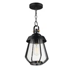 Mariner-outdoor Pendant Black / Antique Brass. Fixed Price $178.20.