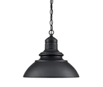 Millennium Lighting 81103 Adda 14"W Outdoor Pendant - Black. Fixed Price $249.90.