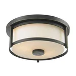 Lacy 2-LIGHT Old Bronze Steel Modern Rustic Flush Mount With Opal Glass Shades. Fixed Price $59.95.