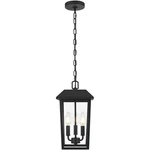 Elegant Lighting OD502H15BK Riggs 3 8 Inch Black Outdoor Pendant. Fixed Price $144.00.