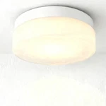 Ceiling Light 24W 5CCT Led White Modern Flush Mount Glass Shade Kitchen Fixture. Fixed Price $56.99.