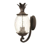 Acclaim Lighting Lanai 3 Up-wall Sconce, Black Coral 7511BC. Fixed Price $240.00.