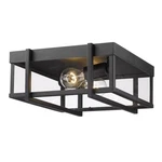 Golden Lighting Tribeca 2 Outdoor Flush Mount, Black 6071-OFMNB-CLR. Fixed Price $219.99.