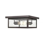 Millennium Lighting Evanton Outdoor Flush Mount, Bronze/clear 4122-PBZ. Fixed Price $159.90.