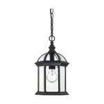 Nuvo Lighting 60/4979 Boxwood Outdoor Hanging Lantern Fixture With Clea.... Fixed Price $136.29.