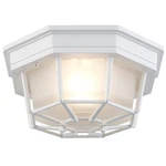 Trans Globe Lighting 40581 Down Flush Mount - White. Fixed Price $41.80.