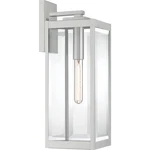 Quoizel WVR8407 Westover 20" Tall Outdoor Wall Sconce - Stainless Steel. Fixed Price $249.99.