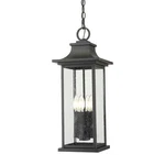 Z-lite 5017CHB Tiberius 4 Light 9"W Outdoor Mini Pendant Black. Fixed Price $402.00.