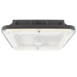 Luxrite Slim Led Garage Canopy Light, 3CCT, 100W Up To 12000LM 120-277V Dimmable. Fixed Price $134.99.