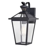 Vaxcel Lighting T0717 Derby 15" Tall Wall Sconce - Black. Fixed Price $199.99.