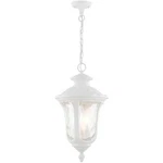 Livex Lighting 7858-13 Oxford Outdoor Pendant Chandeller Textured White. Fixed Price $334.96.
