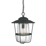 Capital Lighting 9604BK Creekside Single 13" Wide Outdoor Pendant. Fixed Price $169.00.