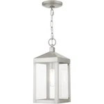Livex Lighting 20591-91 Nyack Outdoor Pendant Chandeller Brushed Nickel. Fixed Price $299.96.