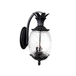 Acclaim Lighting 7512 3 21.75"H Pineapple Outdoor Wall - Black. Fixed Price $192.00.