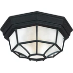 Maxim Lighting Crown Hill 2-LIGHT Outdoor Ceiling Mount Black 1020BK. Fixed Price $59.50.