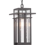 Progress Lighting P550039 Bronze Boxwood Single 9"W Outdoor Mini Pendant. Fixed Price $229.99.
