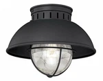 Vaxcel One Light Outdoor Ceiling T0142. Fixed Price $141.05.