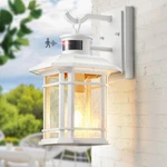Vianis Motion Sensor Exterior Lights For Hous, Dusk To Dawn Outdoor Wall Lantern. Fixed Price $49.99.
