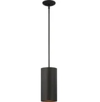 Volume Lighting 1-LAMP Outdoor Black Cylinder Led Pendant W/ Down Rod V9206-5. Fixed Price $39.00.