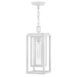Hinkley Lighting Republic 1LT Outdoor Hanging, White/clear Seedy - 1002TW. Fixed Price $271.15.