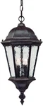 Acclaim 5516BC Telfair 2-LIGHT Outdoor Hanging Lantern, Black Coral Finish. Fixed Price $186.99.