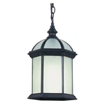 Trans Globe Botanica 17 1/2" Outdoor Pendant Swi In Black - 4183 Bk. Fixed Price $64.60.