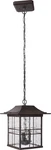 Z7821-ABZ Dorset Outdoor Ceiling Pendant Lighting, 3-LIGHT, 180 Watts, Aged Bron. Fixed Price $66.99.