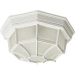Maxim Lighting 1020WT Crown Hill 10.75 Inch White Outdoor Flush Mount. Fixed Price $56.00.