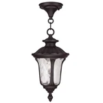 Livex Lighting Oxford Outdoor Chain Hang Bronze 7849-07. Fixed Price $119.96.