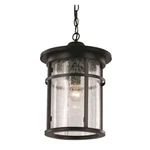 Trans Globe Avalon 16" Light Outdoor Hanging Lantern, Black/crackled - 40386BK. Fixed Price $239.99.