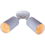 Maxim 92011 White Spots 5"W 2-LIGHT Adjustable Wall Or Ceiling. Fixed Price $83.30.