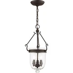 Livex Lighting 5083-07 Jefferson 10 Inch Bronze Chain Lantern. Fixed Price $339.96.