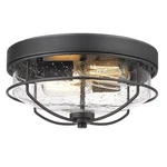 Hwh Investment Flush Mount Ceiling Fixtures, 12 Inch 2-LIGHT Farmhouse .... Fixed Price $75.98.