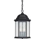 Capital 9836BK Main Street Outdoor Pendant, 3-LIGHT 120 Total Watts, Black. Fixed Price $115.39.