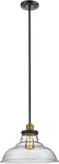 Trans Globe Lighting 70824 Bronze Jackson Single 13-1/2" Pendant Fixture. Fixed Price $65.90.