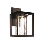 Trans Globe Taylor 14.75" Outdoor Wall Lantern, Black/clear LED-50162BK. Fixed Price $154.99.