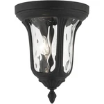 Livex Lighting 7861-14 Oxford Outdoor Ceiling Textured Black. Fixed Price $179.96.
