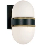 Crystorama Capsule 1 Light Outdoor Wall Mount In Matte Black, Textured Gold -. Fixed Price $198.00.