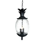 Acclaim Lighting 7516 Lanai 3 21"H Outdoor Pineapple - Black. Fixed Price $184.00.