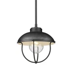 Z-lite 590P Ansel 11"W Outdoor Pendant Black. Fixed Price $139.40.