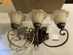 Brand New Hinkley Lighting Fixtures 3 Wall Sconces, Hanging Ceiling Lights. Fixed Price $200.00.