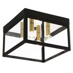 Livex Lighting 20589-07 Nyack 4 Bronze Outdoor Ceiling Mount. Fixed Price $248.99.