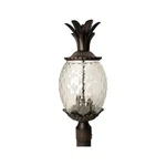 Acclaim Lighting 7517BC Lanai 3 22 Inch Black Coral Exterior Post Mount. Fixed Price $147.00.