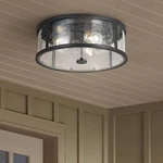 Generation Lighting Dakota 14" Espresso 3-LIGHT Outdoor Ceiling. Fixed Price $223.20.